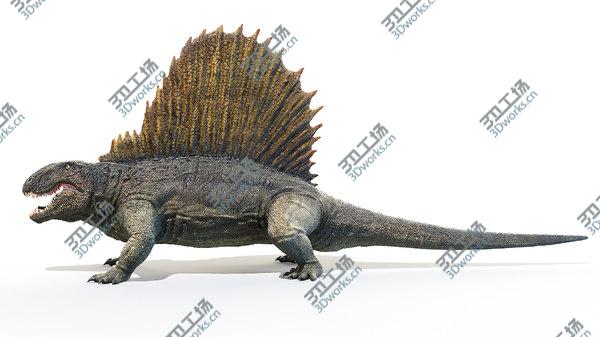 images/goods_img/20210312/3D Dimetrodon/4.jpg